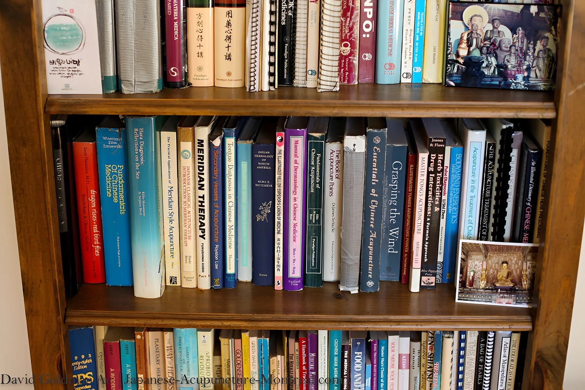 Assorted books on a wooden shelf