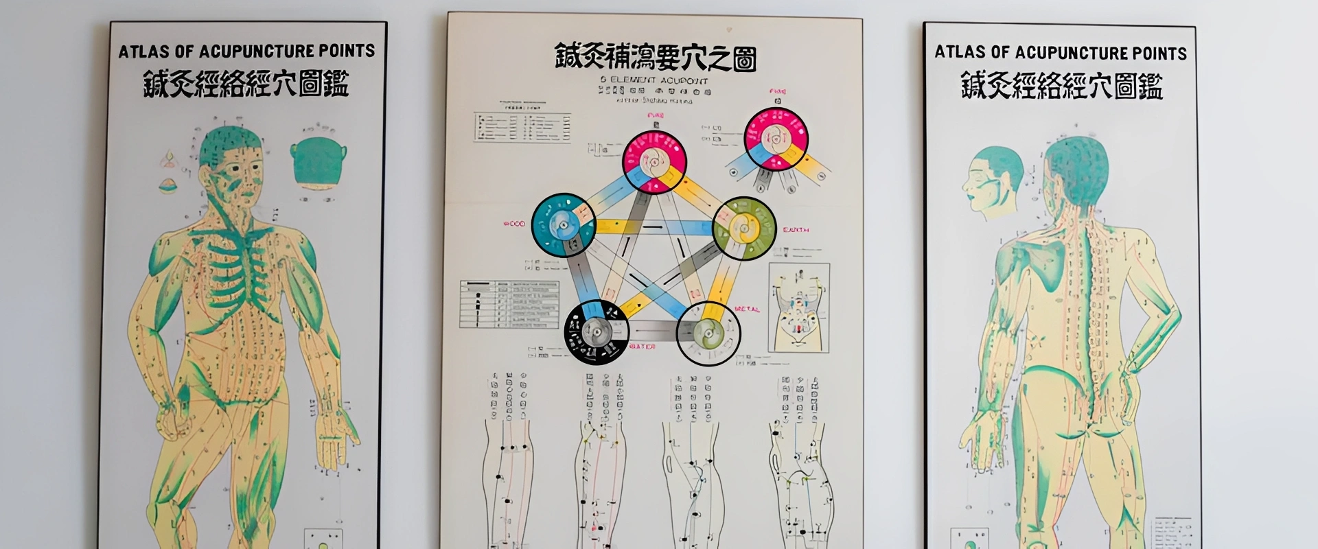 Human body acupuncture illustrations